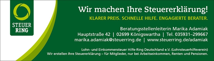 Steuerring